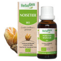 HERBALGEM Bio Noisetier 30ml - Drainage Poumon Parapharmacie
