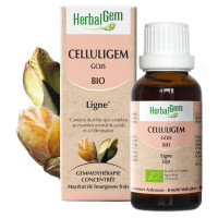 HerbalGem Celluligem Bio 30ml - Lutte contre Cellulite