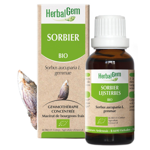 HERBALGEM Sorbier Bio : Macérat Circulation & Jambes Légères - 30ml