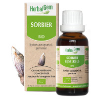 HERBALGEM Sorbier Bio : Macérat Circulation & Jambes Légères - 30ml