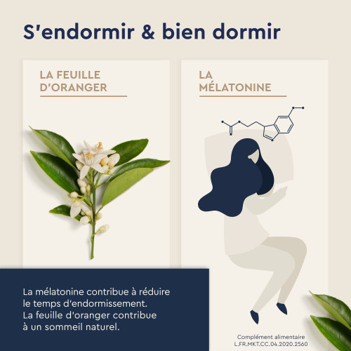 Bayer Euphytose Nuit Infusion 20 Sachets - Sommeil Réparateur