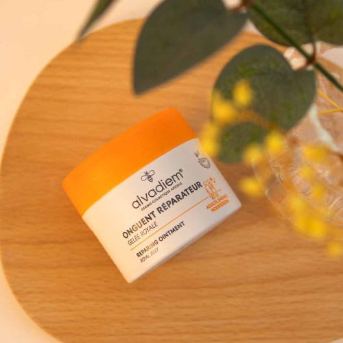 Onguent Réparateur 50 ml