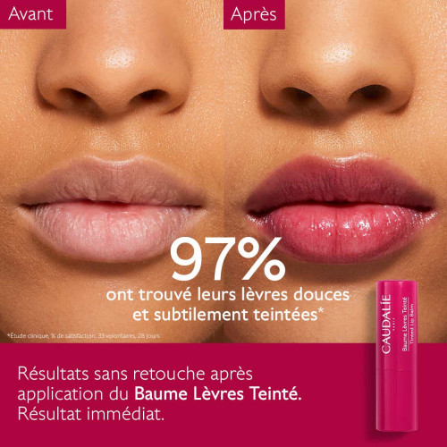 Caudalie Baume Lèvres Teinté 4,5g Hydratation Longue Durée Parapharmacie