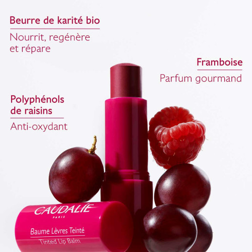 Caudalie Baume Lèvres Teinté 4,5g Hydratation Longue Durée Parapharmacie