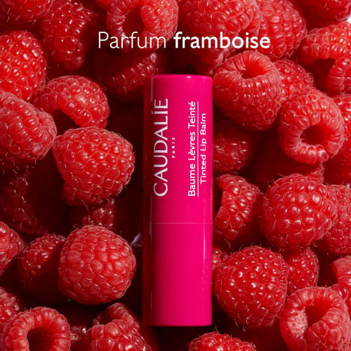 Caudalie Baume Lèvres Teinté 4,5g Hydratation Longue Durée Parapharmacie