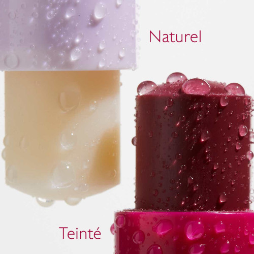 Caudalie Baume Lèvres Teinté 4,5g Hydratation Longue Durée Parapharmacie