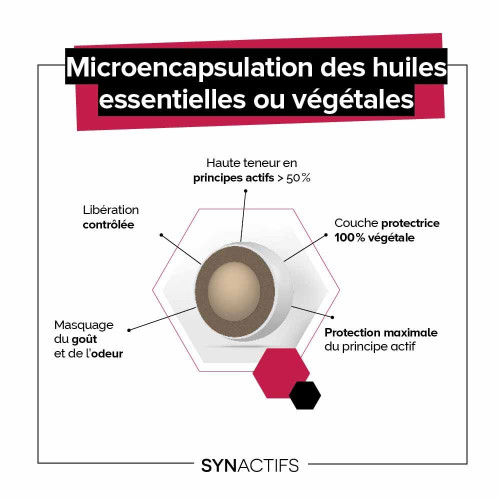 SYNACTIFS CircActifs Gélules - Circulation & Jambes Légères | Aragan