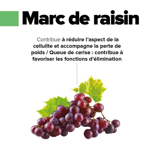 Aragan CelluActifs : Gélules naturelles anti-cellulite & drainantes