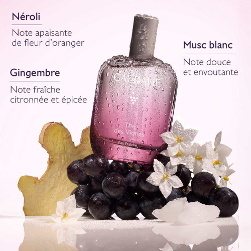 CAUDALIE Thé des Vignes : Brume Fraîcheur & Élégance 100ml
