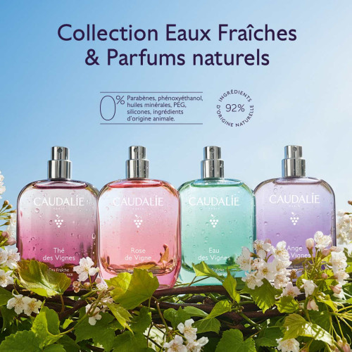 CAUDALIE Thé des Vignes : Brume Fraîcheur & Élégance 100ml
