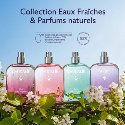 CAUDALIE Eau Fraîche Thé des Vignes : Brume sensorielle 50ml
