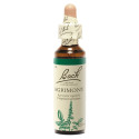 FLEURS DE BACH Agrimony Aigremoine 20mL - Sérénité émotionnelle