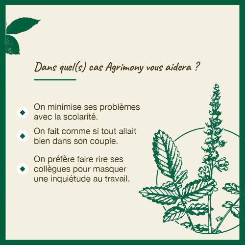 FLEURS DE BACH Agrimony Aigremoine 20mL - Sérénité émotionnelle