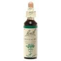 Fleurs de Bach N°4 Centaury 20mL - Force d'affirmation