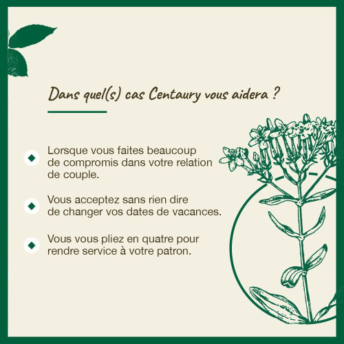 Fleurs de Bach N°4 Centaury 20mL - Force d'affirmation