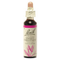 FLEURS DE BACH Sweet Chestnut 20mL - Soutien moral