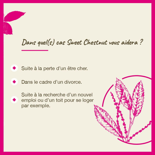 FLEURS DE BACH Sweet Chestnut 20mL - Soutien moral