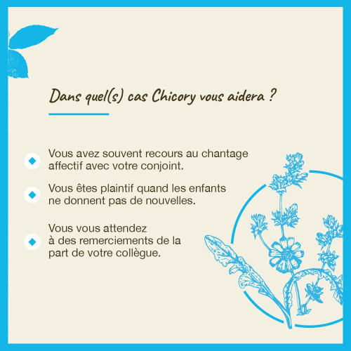 FLEURS DE BACH Chicory 20mL - Libérez-vous de la possessivité