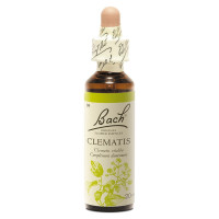 FLEURS DE BACH Clematis 20mL - Pour plus de réalisme