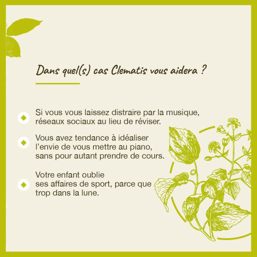 FLEURS DE BACH Clematis 20mL - Pour plus de réalisme