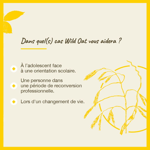 FLEURS DE BACH Wild Oat 20mL - Clarté et Décision
