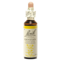 FLEURS DE BACH Gentian 20mL - Optimisme et courage sur