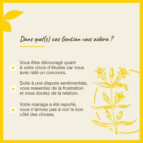 FLEURS DE BACH Gentian 20mL - Optimisme et courage sur
