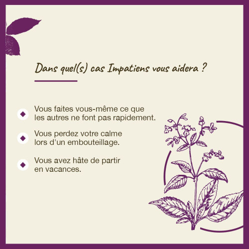 Fleurs de Bach Impatiente n°18 20mL - Apaise tension et impatience