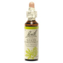 FLEURS DE BACH White Chestnut 20mL - Apaise le mental agité