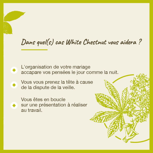 FLEURS DE BACH White Chestnut 20mL - Apaise le mental agité