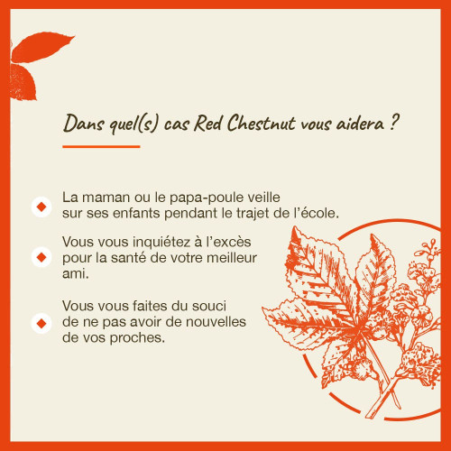 FLEURS DE BACH Red Chestnut 20mL - Apaise liens affectifs