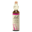FLEURS DE BACH Larch 20mL - Boostez votre confiance avec