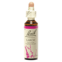 FLEURS DE BACH Larch 20mL - Boostez votre confiance avec
