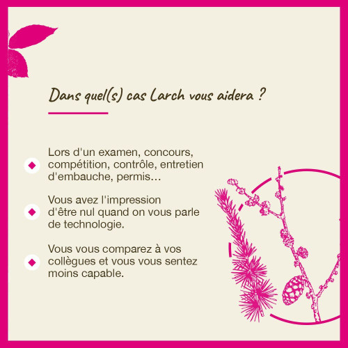 FLEURS DE BACH Larch 20mL - Boostez votre confiance avec