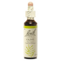 FLEURS DE BACH Olive 20mL - Revitalisez-vous avec