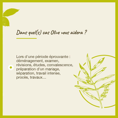 FLEURS DE BACH Olive 20mL - Revitalisez-vous avec