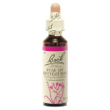 Fleurs de Bach Star of Bethlehem 20mL - Apaise chagrin et tristesse