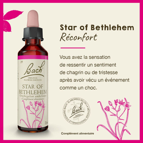 Fleurs de Bach Star of Bethlehem 20mL - Apaise chagrin et tristesse