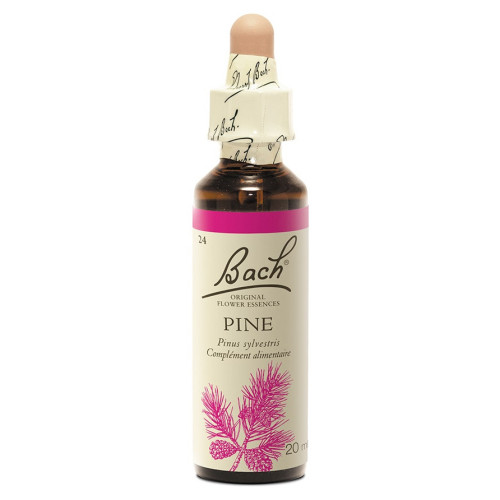 FLEURS DE BACH Pine Pin Sylvestre 20mL - Soulage culpabilité