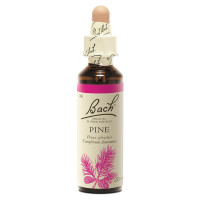 FLEURS DE BACH Pine Pin Sylvestre 20mL - Soulage culpabilité
