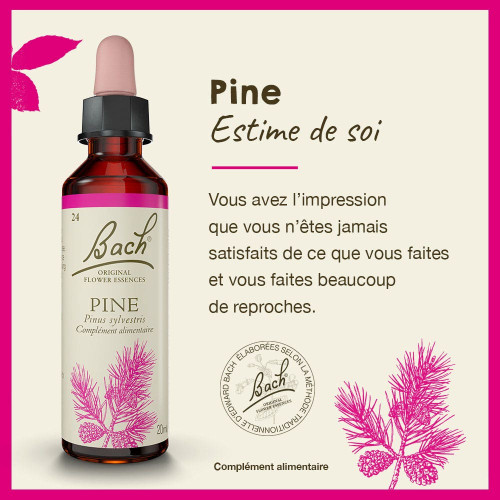 FLEURS DE BACH Pine Pin Sylvestre 20mL - Soulage culpabilité