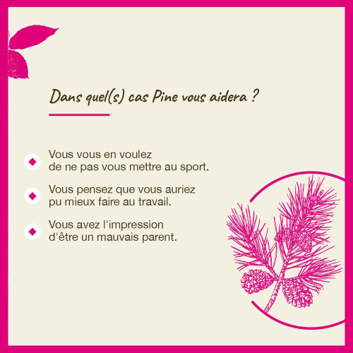 FLEURS DE BACH Pine Pin Sylvestre 20mL - Soulage culpabilité