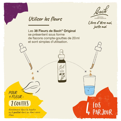 Fleurs de Bach 10 Pommier Sauvage 20mL - Purification Corporelle