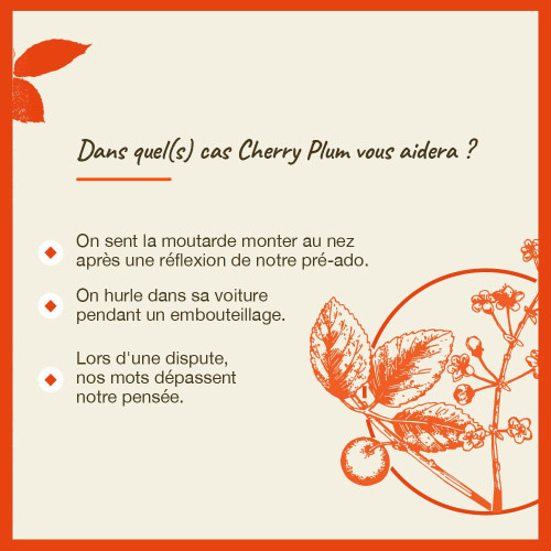 Fleurs de Bach Cherry Plum 20mL - Calme et sérénité