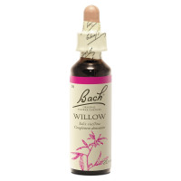 FLEURS DE BACH Willow 20mL - Transformez pensées négatives avec