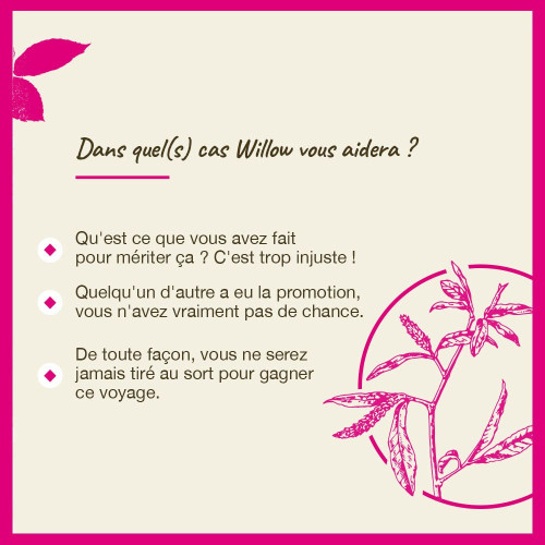 FLEURS DE BACH Willow 20mL - Transformez pensées négatives avec