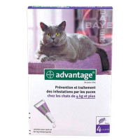 ELANCO Advantage Chat 4Kg+ 6 Pipettes 0.8mL - Antiparasitaire Efficace