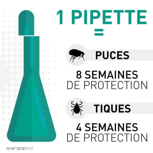 FRONTLINE Spot-On Chien 20-40Kg 4 Pipettes - Protection Puces Tiques