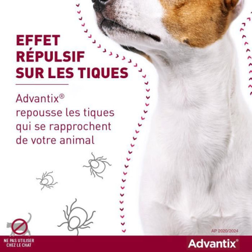 Advantix Petit Chien 4-10kg 6 Pipettes 1mL - Protection Triple Action