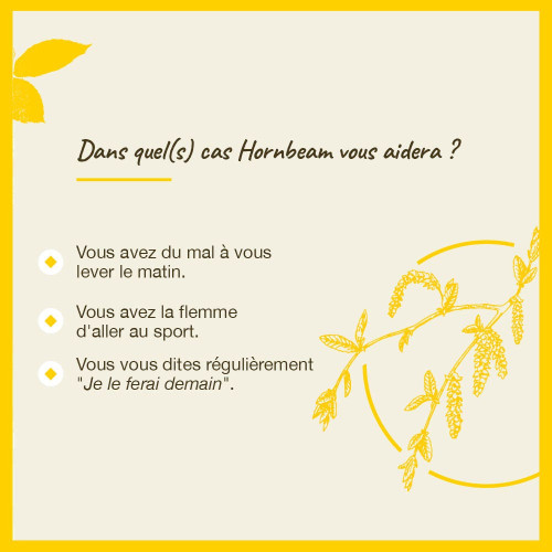 Fleurs de Bach Original Hornbean 20ml - Elixir naturel sur